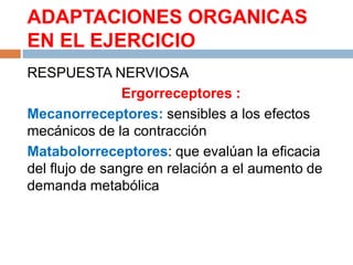 ADAPTACIONES ORGANICAS
EN EL EJERCICIO
RESPUESTA NERVIOSA
Ergorreceptores :
Mecanorreceptores: sensibles a los efectos
mecánicos de la contracción
Matabolorreceptores: que evalúan la eficacia
del flujo de sangre en relación a el aumento de
demanda metabólica

 