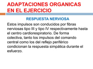 ADAPTACIONES ORGANICAS
EN EL EJERCICIO
RESPUESTA NERVIOSA
Estos impulsos son conducidos por fibras
nerviosas tipo III y tipo IV respectivamente hasta
el centro cardiorespiratorio. De forma
colectiva, tanto los impulsos del comando
central como los del reflejo periférico
condicionan la respuesta simpática durante el
esfuerzo.

 