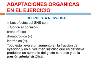 ADAPTACIONES ORGANICAS
EN EL EJERCICIO
RESPUESTA NERVIOSA
 Los efectos del SNS son:
 Sobre el corazón:
cronotrópico
dromotrópico (+)
inotrópico (+).
Todo esto lleva a un aumento en la fracción de
eyección y en el volumen sistólico que en definitiva
producen un aumento del gasto cardíaco y de la
presión arterial sistólica.

 