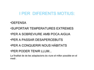 I PER  DIFERENTS MOTIUS: DEFENSA  SUPORTAR TEMPERATURES EXTREMES PER A SOBREVIURE AMB POCA AIGUA PER A PASSAR DESAPERCEBUTS PER A CONQUERIR NOUS HÀBITATS PER PODER TENIR LLUM ... La finalitat de de les adaptacions és viure el millor possible en el medi  .  
