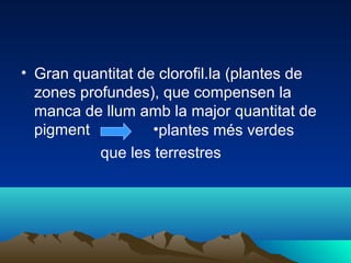 • Gran quantitat de clorofil.la (plantes de
zones profundes), que compensen la
manca de llum amb la major quantitat de
pigment •plantes més verdes
que les terrestres
 