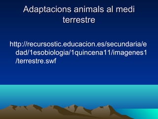 Adaptacions animals al mediAdaptacions animals al medi
terrestreterrestre
http://recursostic.educacion.es/secundaria/e
dad/1esobiologia/1quincena11/imagenes1
/terrestre.swf
 