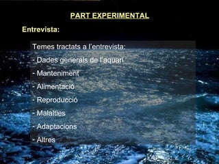 PART EXPERIMENTAL Entrevista: Temes tractats a l’entrevista: Dades generals de l’aquari Manteniment Alimentació Reproducció Malalties Adaptacions Altres 