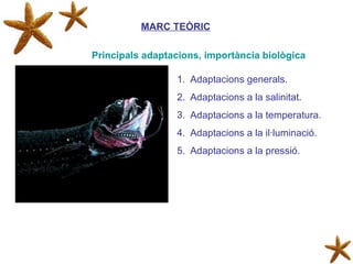 MARC TEÒRIC Adaptacions generals. Adaptacions a la salinitat. Adaptacions a la temperatura. Adaptacions a la il·luminació. Adaptacions a la pressió. Principals adaptacions, importància biològica 