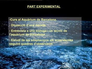PART EXPERIMENTAL Curs al Aquàrium de Barcelona. Dissecció d’una dorada. Entrevista a una biòloga i un tècnic de l'aquàrium de Barcelona.  Estudi de les adaptacions als ecosistemes seguint quadres d'observació. 