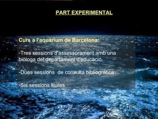 PART EXPERIMENTAL Curs a l'aquàrium de Barcelona: Tres sessions d'assessorament amb una biòloga del departament d'educació. Dues sessions  de consulta bibliogràfica Sis sessions lliures. 