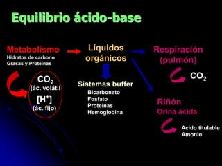 Adaptacion y fisiologia del RN | PPTX