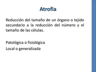 Atrofia
Reducción del tamaño de un órgano o tejido
secundario a la reducción del número y el
tamaño de las células.
Patológica o fisiológica
Local o generalizada
 