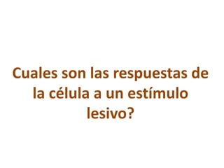 Cuales son las respuestas de
la célula a un estímulo
lesivo?
 