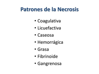 Patrones de la Necrosis
• Coagulativa
• Licuefactiva
• Caseosa
• Hemorrágica
• Grasa
• Fibrinoide
• Gangrenosa
 