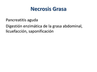 Necrosis Grasa
Pancreatitis aguda
Digestión enzimática de la grasa abdominal,
licuefacción, saponificación
 