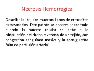 Necrosis Hemorrágica
Describe los tejidos muertos llenos de eritrocitos
extravasados. Este patrón se observa sobre todo
cuando la muerte celular se debe a la
obstrucción del drenaje venoso de un tejido, con
congestión sanguínea masiva y la consiguiente
falta de perfusión arterial
 