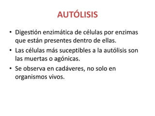 AUTÓLISIS
• Digestión enzimática de células por enzimas
que están presentes dentro de ellas.
• Las células más suceptibles a la autólisis son
las muertas o agónicas.
• Se observa en cadáveres, no solo en
organismos vivos.
 