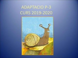 ADAPTACIO P-3
CURS 2019-2020
 