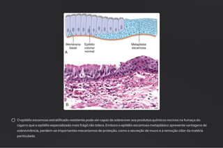 O epitélio escamoso estratificado resistente pode ser capaz de sobreviver aos produtos químicos nocivos na fumaça do
cigarro que o epitélio especializado mais frágil não tolera. Embora o epitélio escamoso metaplásico apresente vantagens de
sobrevivência, perdem-se importantes mecanismos de proteção, como a secreção de muco e a remoção ciliar da matéria
particulada.
 