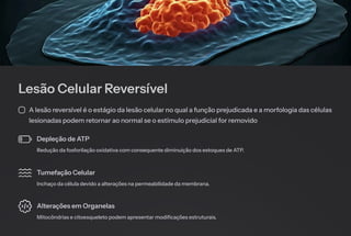 Lesão Celular Reversível
A lesão reversível é o estágio da lesão celular no qual a função prejudicada e a morfologia das células
lesionadas podem retornar ao normal se o estímulo prejudicial for removido
Depleção de ATP
Redução da fosforilação oxidativa com consequente diminuição dos estoques de ATP.
Tumefação Celular
Inchaço da célula devido a alterações na permeabilidade da membrana.
Alterações em Organelas
Mitocôndrias e citoesqueleto podem apresentar modificações estruturais.
 