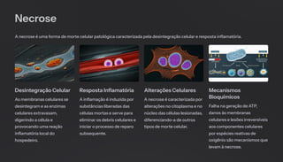 Necrose
A necrose é uma forma de morte celular patológica caracterizada pela desintegração celular e resposta inflamatória.
Desintegração Celular
As membranas celulares se
desintegram e as enzimas
celulares extravasam,
digerindo a célula e
provocando uma reação
inflamatória local do
hospedeiro.
Resposta Inflamatória
A inflamação é induzida por
substâncias liberadas das
células mortas e serve para
eliminar os debris celulares e
iniciar o processo de reparo
subsequente.
Alterações Celulares
A necrose é caracterizada por
alterações no citoplasma e no
núcleo das células lesionadas,
diferenciando-a de outros
tipos de morte celular.
Mecanismos
Bioquímicos
Falha na geração de ATP,
danos às membranas
celulares e lesões irreversíveis
aos componentes celulares
por espécies reativas de
oxigênio são mecanismos que
levam à necrose.
 