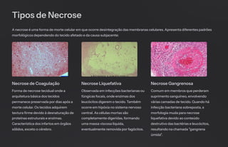 Tipos de Necrose
A necrose é uma forma de morte celular em que ocorre desintegração das membranas celulares. Apresenta diferentes padrões
morfológicos dependendo do tecido afetado e da causa subjacente:
Necrose de Coagulação
Forma de necrose tecidual onde a
arquitetura básica dos tecidos
permanece preservada por dias após a
morte celular. Os tecidos adquirem
textura firme devido à desnaturação de
proteínas estruturais e enzimas.
Característica dos infartos em órgãos
sólidos, exceto o cérebro.
Necrose Liquefativa
Observada em infecções bacterianas ou
fúngicas focais, onde enzimas dos
leucócitos digerem o tecido. Também
ocorre em hipóxia no sistema nervoso
central. As células mortas são
completamente digeridas, formando
uma massa viscosa líquida,
eventualmente removida por fagócitos.
Necrose Gangrenosa
Comum em membros que perderam
suprimento sanguíneo, envolvendo
várias camadas de tecido. Quando há
infecção bacteriana sobreposta, a
morfologia muda para necrose
liquefativa devido ao conteúdo
destrutivo das bactérias e leucócitos,
resultando na chamada "gangrena
úmida".
 