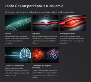 Lesão Celular por Hipóxia e Isquemia
As causas mais comuns de lesão celular envolvem a privação de oxigênio aos tecidos:
Hipóxia
Deficiência de oxigênio nos tecidos,
privando as células de um componente
essencial para o metabolismo
energético.
Isquemia
Redução do suprimento sanguíneo que,
além da hipóxia, causa deficiência de
nutrientes e acúmulo de metabólitos
tóxicos.
Obstrução Arterial
A causa mais comum de hipóxia é a
isquemia resultante de uma obstrução
arterial, impedindo o fluxo sanguíneo
adequado.
Oxigenação Inadequada
Doenças pulmonares podem
comprometer a oxigenação sanguínea,
resultando em hipóxia mesmo com fluxo
sanguíneo normal.
Transporte de Oxigênio
Reduzido
Anemia e intoxicação por monóxido de
carbono (CO) diminuem a capacidade do
sangue de transportar oxigênio para os
tecidos.
 