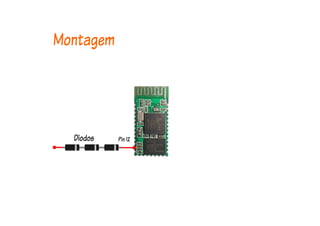 Montagem
Diodos Pin 12
 