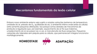 Mecanismos fundamentais da lesão celular
Embora nosso ambiente externo seja sujeito a amplas variações (extremos de temperatura,
umidade do ar, pressão de O2, qualidade do ar), o ambiente interno onde estão as células
sofre somente pequenas alterações. Isso porque somos dotados de mecanismos de
proteção e regulação que, por exemplo, aquecimento do ar frio que inalamos,
umedecimento do ar ao passar nas vv.aa. e manutenção do fluxo sanguíneo. Pequenas
variações são toleradas sem prejuízo para as células, que permanecem integras funcional e
morfologicamente.
HOMEOSTASE ADAPTAÇÃO
 