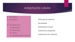 Adaptação celular
 Fisiológica
 Patológica
 Principais tipos
 Hipertrofia
 Hiperplasia
 Atrofia
 Metaplasia/Modulação
Natureza do estímulo
Severidade
Metabolismo basal
Suprimento sanguíneo
Suprimento de nutrientes
 