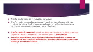  A lesão celular pode ser reversível ou irreversível.
 A lesão celular reversível ocorre quando a célula agredida pelo estímulo
nocivo sofre alterações funcionais e morfológicas, porém mantém-se viva,
recuperando-se quando o estímulo nocivo é retirado.
 A lesão celular é irreversível quando a célula torna-se incapaz de recuperar-se
depois de cessada a agressão, caminhando para a morte celular.
 Acúmulos intracelulares e cell aging não necessariamente são cursam com
morte celular mas são quase irreversíveis. Calcificação distrófica acontece em
tecidos já previamente lesados.
 