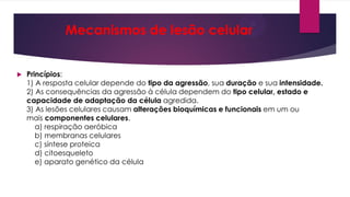 Mecanismos de lesão celular
 Princípios:
1) A resposta celular depende do tipo da agressão, sua duração e sua intensidade.
2) As consequências da agressão à célula dependem do tipo celular, estado e
capacidade de adaptação da célula agredida.
3) As lesões celulares causam alterações bioquímicas e funcionais em um ou
mais componentes celulares.
a) respiração aeróbica
b) membranas celulares
c) síntese proteica
d) citoesqueleto
e) aparato genético da célula
 