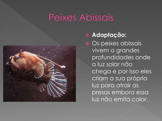  Adaptação:
 Os peixes abissais
vivem a grandes
profundidades onde
a luz solar não
chega e por isso eles
criam a sua própria
luz para atrair as
presas embora essa
luz não emita calor.
 