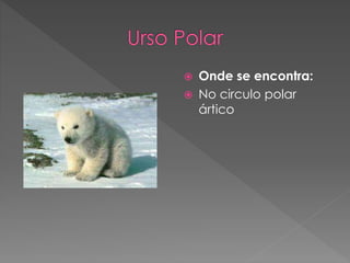  Onde se encontra:
 No circulo polar
ártico
 