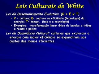 Leis Culturais de White
Lei do Desenvolvimento Evolutiva: [C = E x T]
   – C = cultura; E= captura ou eficiência (tecnologia) da
     energia; T= tempo. (isso e a tecnologia)
   – Exemplos: transformação linear única de bandas a tribos
     a reinos a países
Lei da Dominância Cultural: culturas que exploram a
  energia com maior eficiência se expandiram aos
  custos das menos eficientes.
 