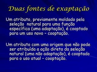 Duas fontes de exaptação
Um atributo, previamente moldado pela
 seleção natural para uma função
 específica (uma adaptação), é cooptado
 para um uso novo – cooptação.

Um atributo com uma origem que não pode
 ser atribuída a ação direta da seleção
 natural (uma não adaptação), é cooptado
 para o uso atual – cooptação.
 
