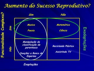 Aumento do Sucesso Reprodutivo?
Funcionalidade Complexa?


                                        Sim                  Não


                                      Musica             Matemática
                           Sim




                                                                            Exadaptações
                                       Poesia              Ciência



                                  Manipulação da
                                  classificação de
                                                      Reciclando Plástico
                                     parentesco
                           Não




                                                        Assistindo TV
                                 Doações a Banco de
                                      Esperma


                                   Exaptações
 