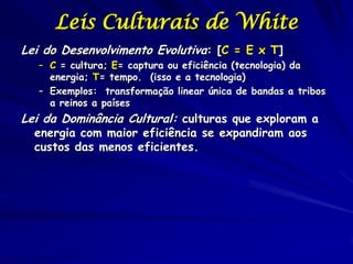 Leis Culturais de White
Lei do Desenvolvimento Evolutiva: [C = E x T]
   – C = cultura; E= captura ou eficiência (tecnolog...