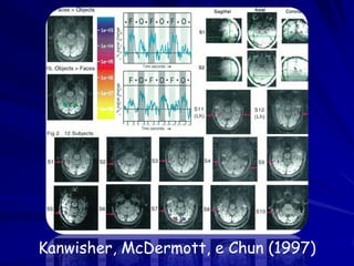Kanwisher, McDermott, e Chun (1997)
 