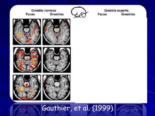 Gauthier, et al. (1999)
 