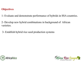 Th1_Adaptation of hybrid rice technology in West Africa | PPT
