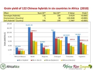 Th1_Adaptation of hybrid rice technology in West Africa | PPT