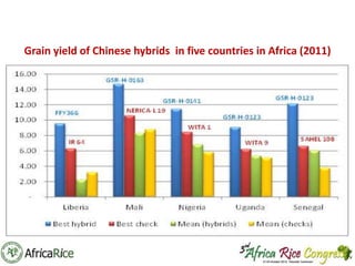 Th1_Adaptation of hybrid rice technology in West Africa | PPT