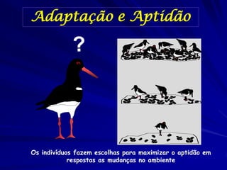 Adaptação ao Ambiente
 Os organismos podem responder as variações do
   ambiente por meio de uma variedade de adaptações
 ...