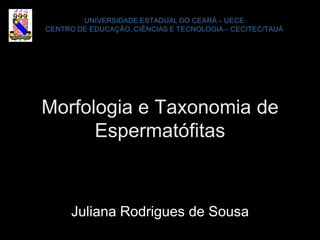 Morfologia e Taxonomia de
      Espermatófitas



   Juliana Rodrigues de Sousa
 