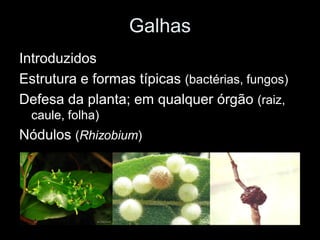 Galhas
Introduzidos
Estrutura e formas típicas (bactérias, fungos)
Defesa da planta; em qualquer órgão (raiz,
  caule, folha)
Nódulos (Rhizobium)
 