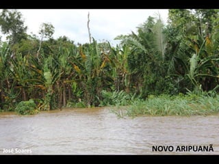 José Soares NOVO ARIPUANÃ 
 