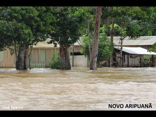 José Soares NOVO ARIPUANÃ 
 
