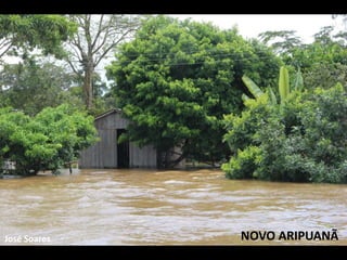 José Soares NOVO ARIPUANÃ 
 