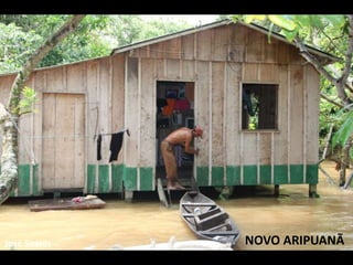 José Soares NOVO ARIPUANÃ 
 