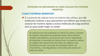PATOGENIA DO MECANISMO DE LESÃO CELULAR PELO ESTRESSE
OXIDATIVO.
O QUE É ESTRESSE OXIDATIVO?
 É o acúmulo de radicais livres no interior das células, que são
moléculas instáveis e que apresentam um elétron que tende a se
associar de maneira rápida a outras moléculas de carga positiva
com as quais pode reagir ou oxidar.
Os radicais livres são produzidos no interior da célula e resultam
de reações moleculares do ambiente celular, desencadeiam
reações autocatalíticas, processo em que ocorre a degradação
de moléculas e conversão em radicais livres. As espécies reativas
de oxigênio são radicais livres derivados do oxigênio e são
produzidas durante o processo de respiração celular nas
mitocôndrias, e são degradadas e removidas pelo sistema de
defesa da célula.
 