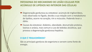 PATOGENIA DO MECANISMO DE LESÃO CELULAR POR
ACÚMULO DE LIPÍDIOS NO INTERIOR DAS CÉLULAS
 Degeneração gordurosa ou esteatose: acúmulo de triglicerídeos,
mais observada no fígado, devido a sua relação com o metabolismo
de lipídios, ocorre no coração, rim e músculos. Podendo levar a
óbito.
 Causas da esteatose: diabetes, obesidade, desnutrição proteica,
toxinas e anóxia, mais comum o uso de bebidas alcoólicas, que
provoca a degeneração gordurosa hepática.
O QUE É TRIGLICERÍDEOS?
São as principais gorduras do organismo e servem como fonte de
energia.
 