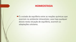 HOMEOSTASIA
É o estado de equilíbrio entre as reações químicas que
ocorrem no ambiente intracelular; caso haja qualquer
desvio nesta situação de equilíbrio, ocorrem as
adaptações celulares.
 