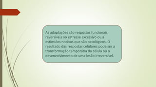 As adaptações são respostas funcionais
reversíveis ao estresse excessivo ou a
estímulos nocivos que são patológicos. O
resultado das respostas celulares pode ser a
transformação temporária da célula ou o
desenvolvimento de uma lesão irreversível.
 